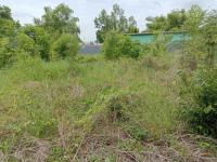 https://saraburi.ohoproperty.com/204538/ธนาคารกสิกรไทย/ขายที่ดินว่างเปล่า/หนองปลิง/หนองแค/สระบุรี/