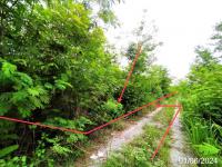 ที่ดินว่างเปล่าหลุดจำนอง ธ.ธนาคารกสิกรไทย วังม่วง วังม่วง สระบุรี